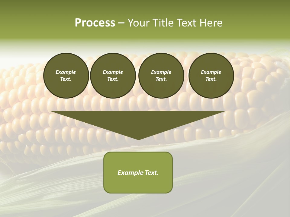 Grain Diet Berry PowerPoint Template