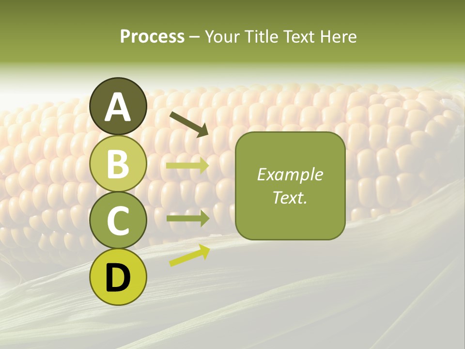 Grain Diet Berry PowerPoint Template