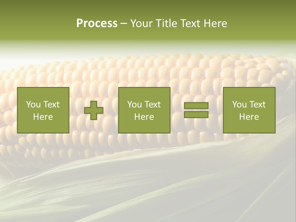 Grain Diet Berry PowerPoint Template