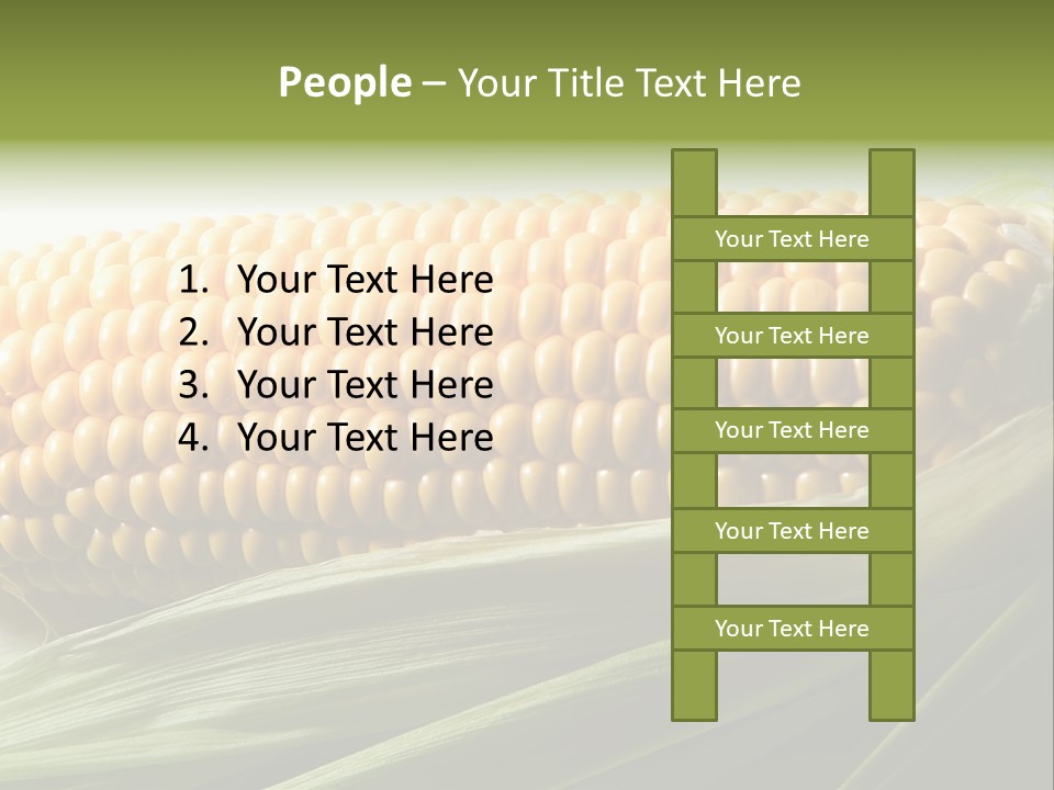 Grain Diet Berry PowerPoint Template