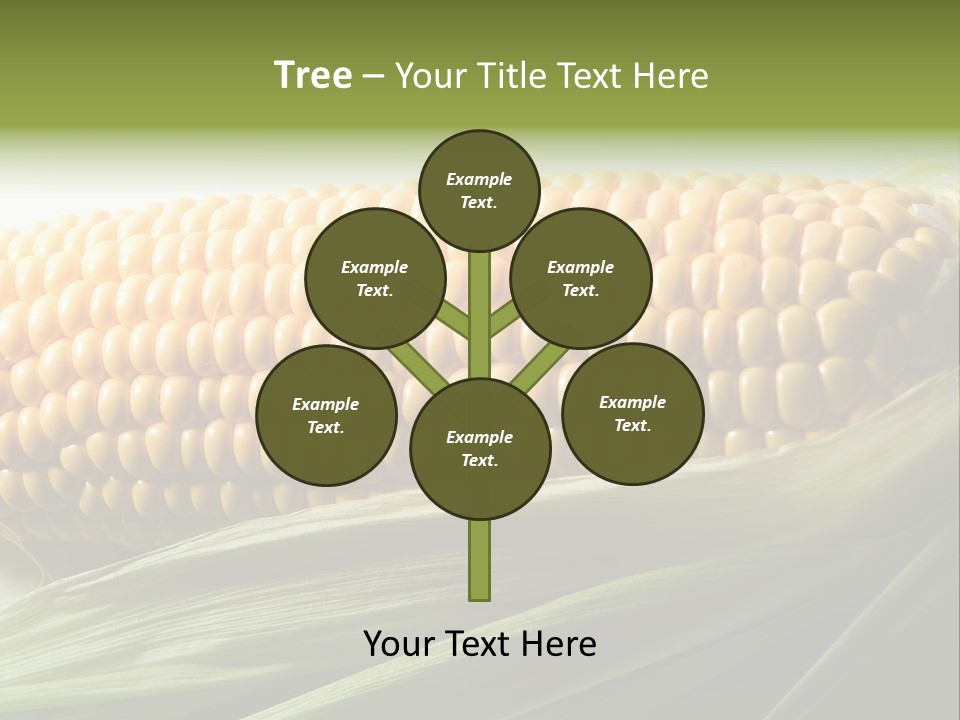 Grain Diet Berry PowerPoint Template