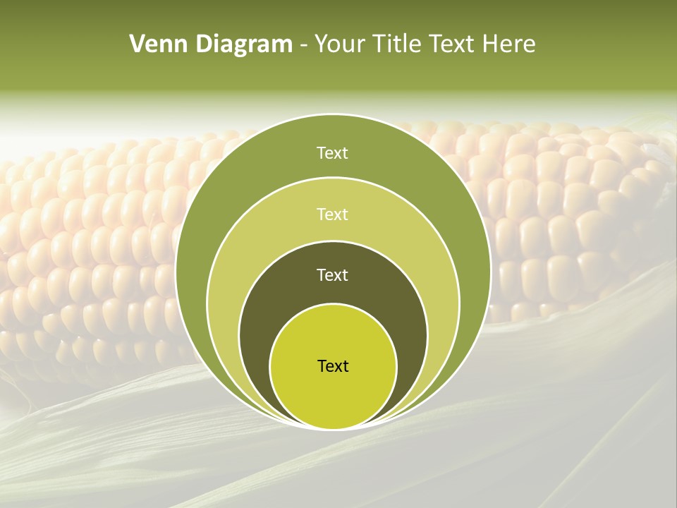 Grain Diet Berry PowerPoint Template