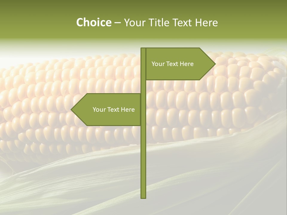 Grain Diet Berry PowerPoint Template