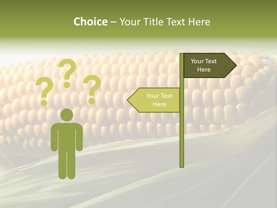 Grain Diet Berry PowerPoint Template