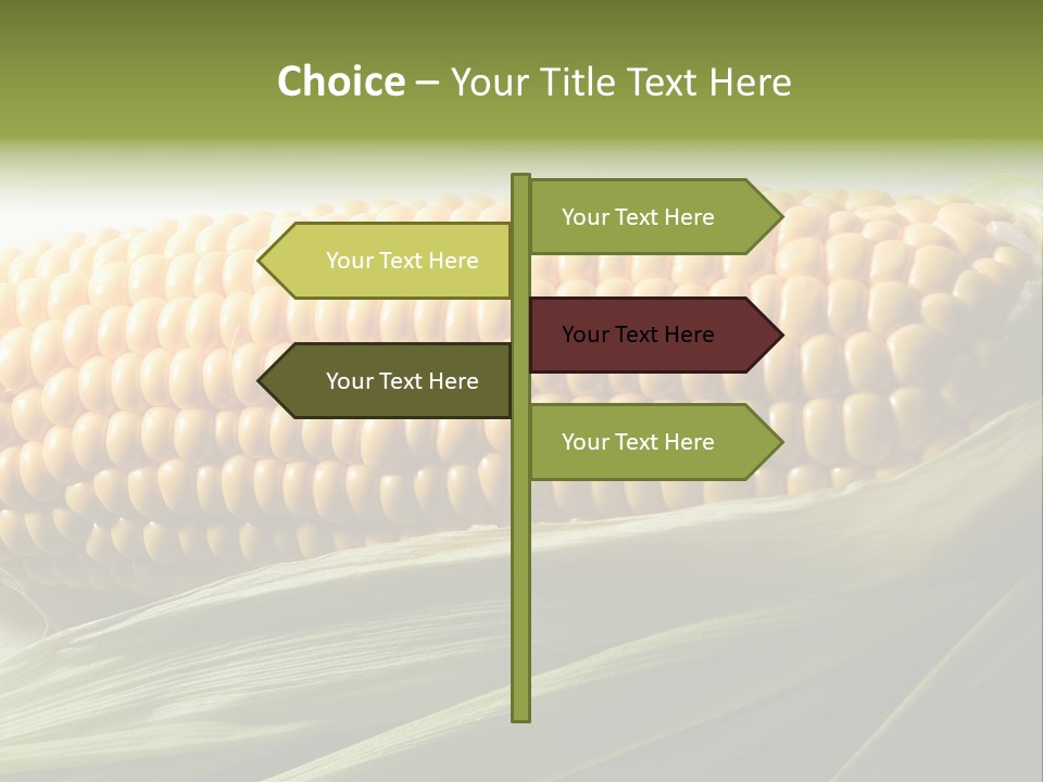 Grain Diet Berry PowerPoint Template