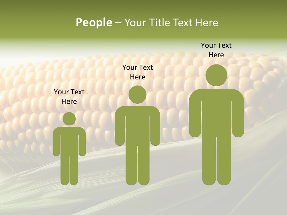 Grain Diet Berry PowerPoint Template