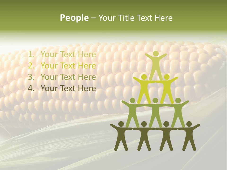 Grain Diet Berry PowerPoint Template