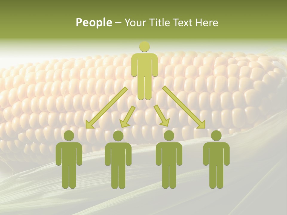 Grain Diet Berry PowerPoint Template