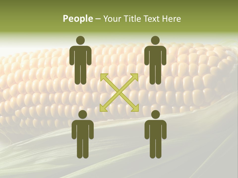 Grain Diet Berry PowerPoint Template