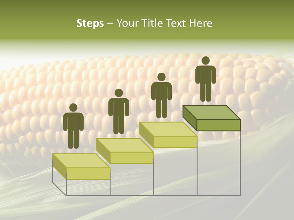 Grain Diet Berry PowerPoint Template