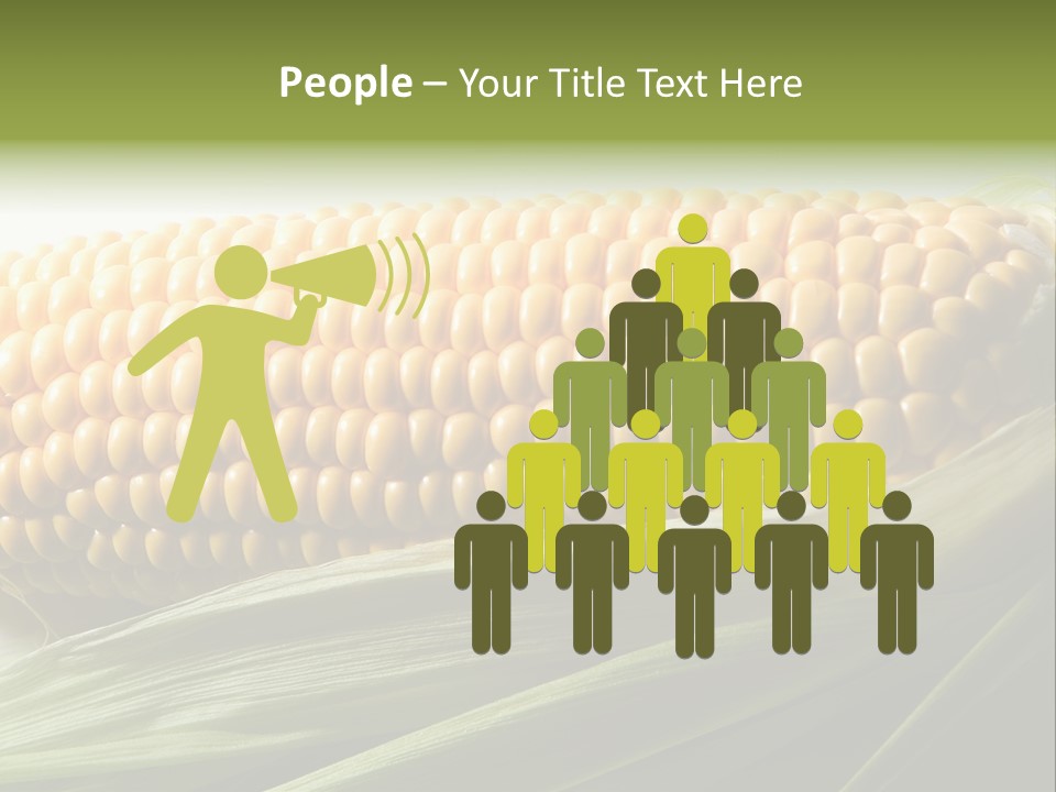 Grain Diet Berry PowerPoint Template