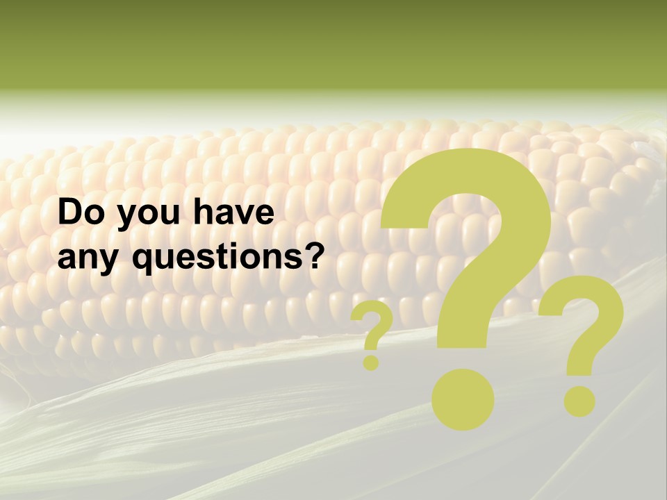 Grain Diet Berry PowerPoint Template