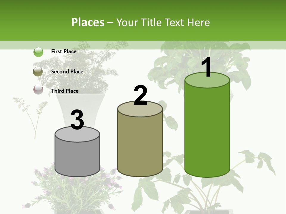 Organic Seasoning Medicinal PowerPoint Template