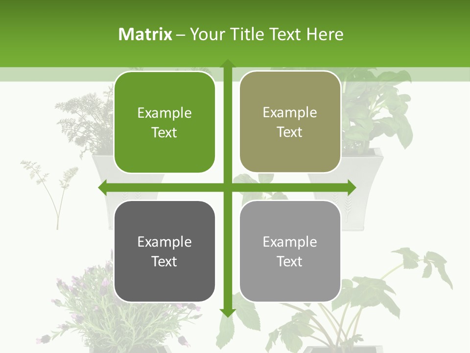 Organic Seasoning Medicinal PowerPoint Template