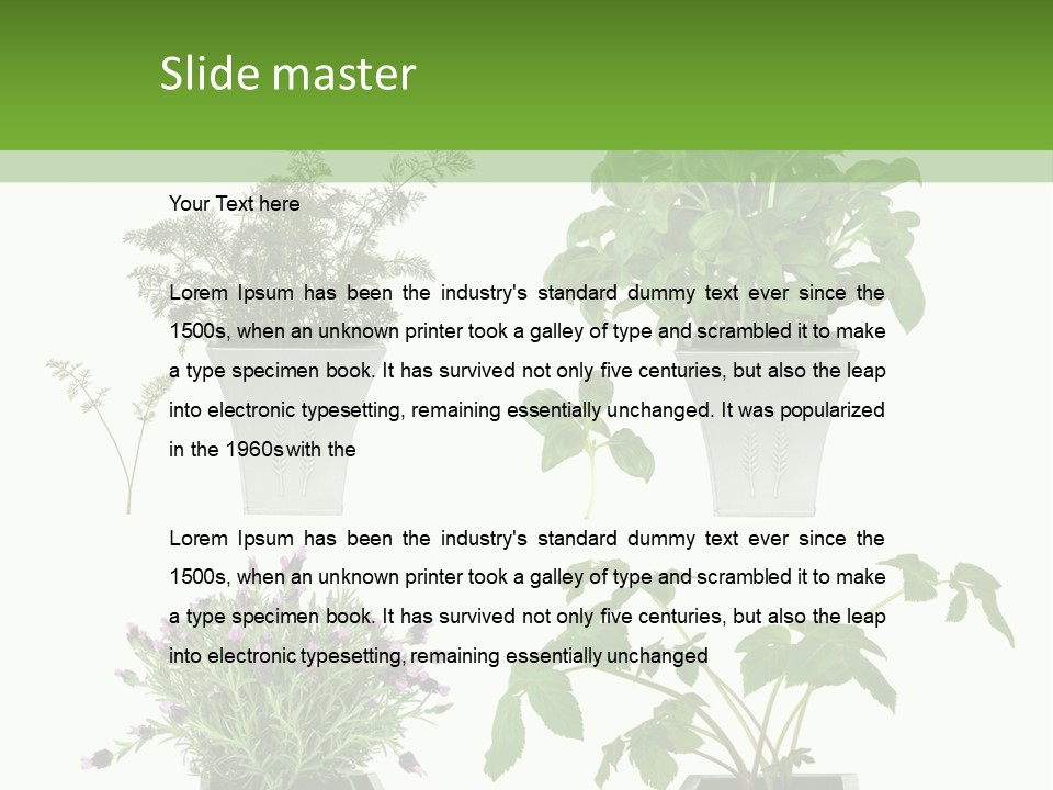 Organic Seasoning Medicinal PowerPoint Template