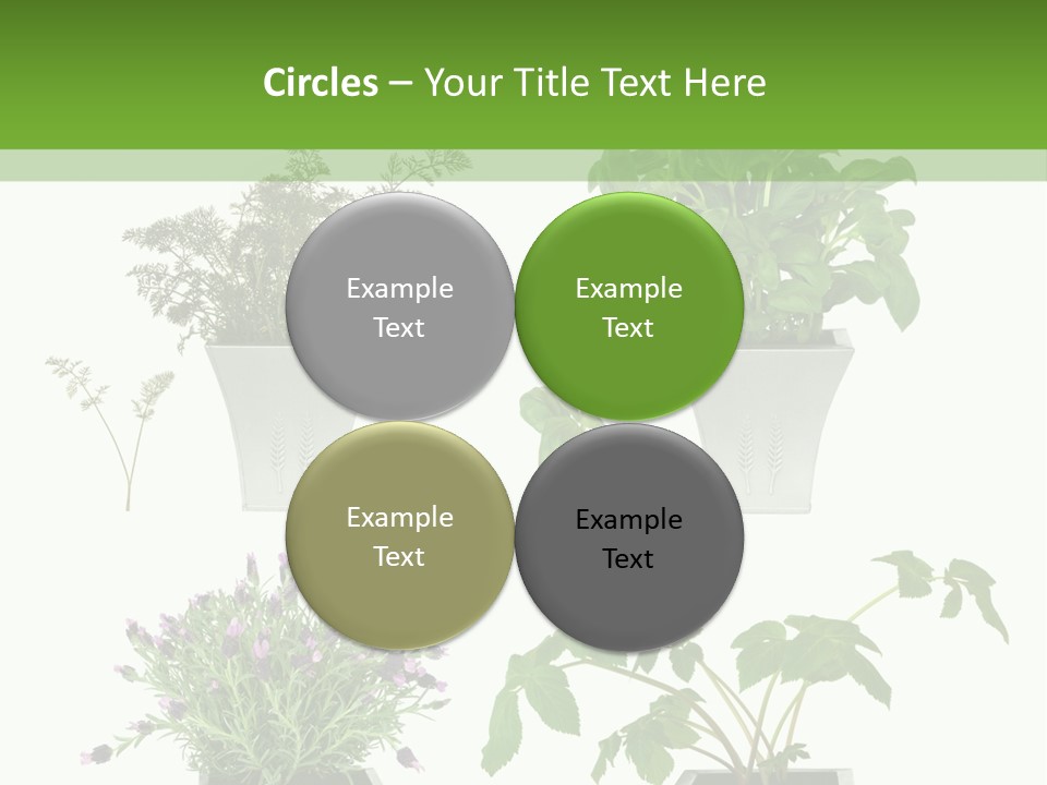 Organic Seasoning Medicinal PowerPoint Template