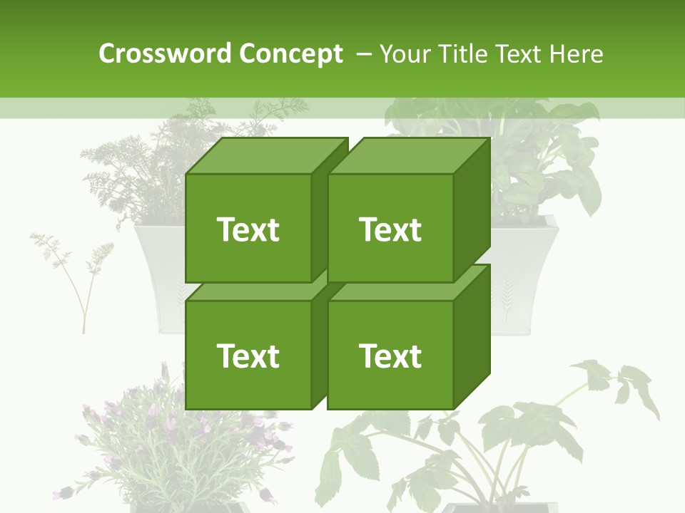 Organic Seasoning Medicinal PowerPoint Template