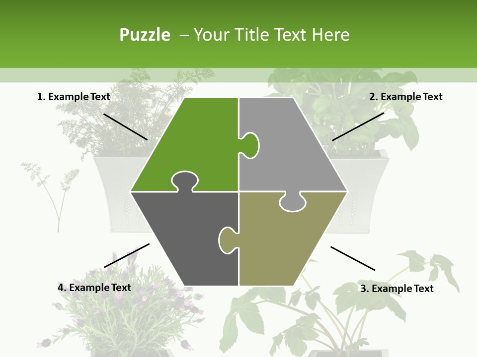 Organic Seasoning Medicinal PowerPoint Template