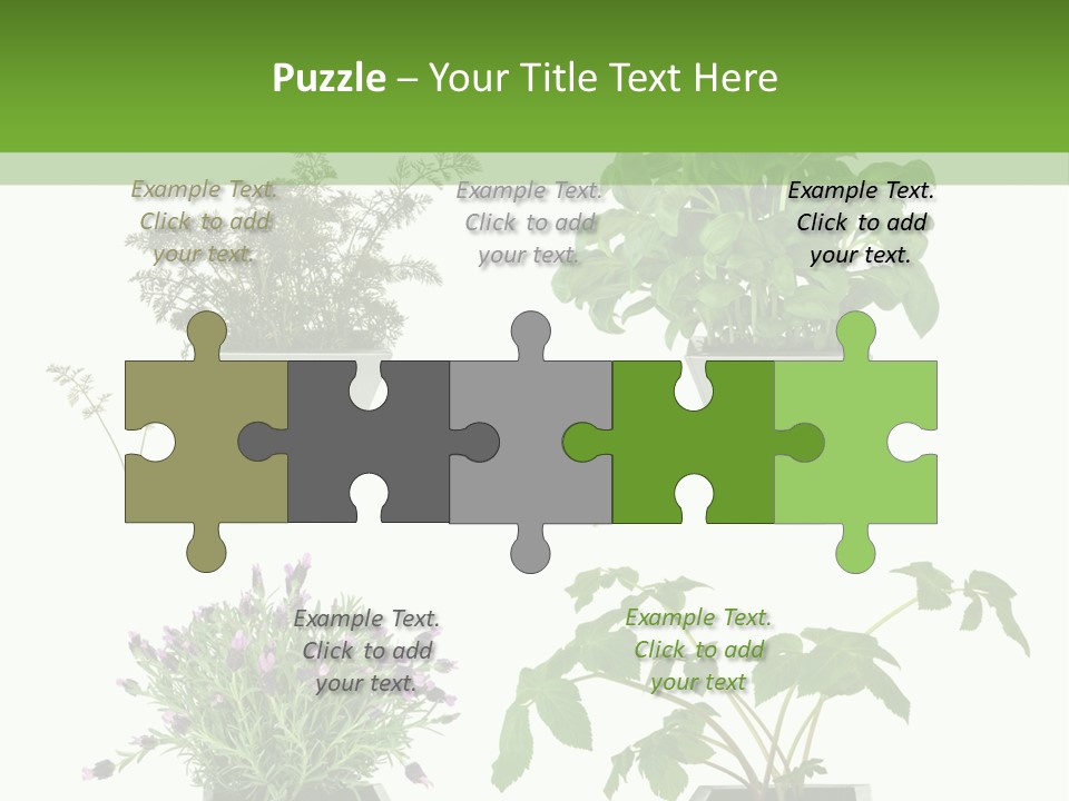 Organic Seasoning Medicinal PowerPoint Template