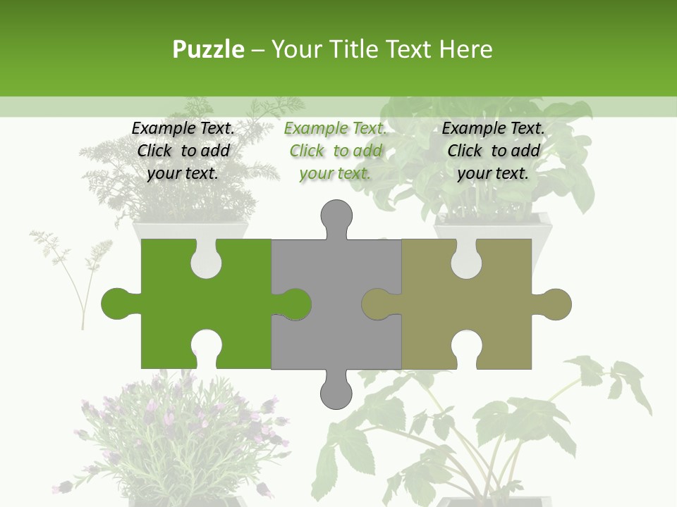 Organic Seasoning Medicinal PowerPoint Template