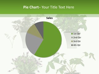 Organic Seasoning Medicinal PowerPoint Template