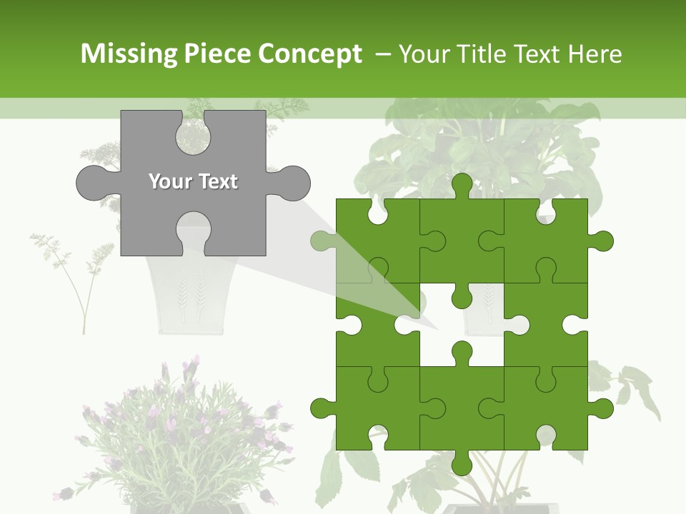 Organic Seasoning Medicinal PowerPoint Template