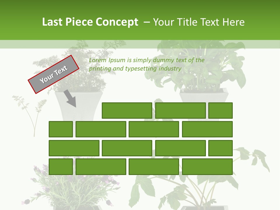 Organic Seasoning Medicinal PowerPoint Template