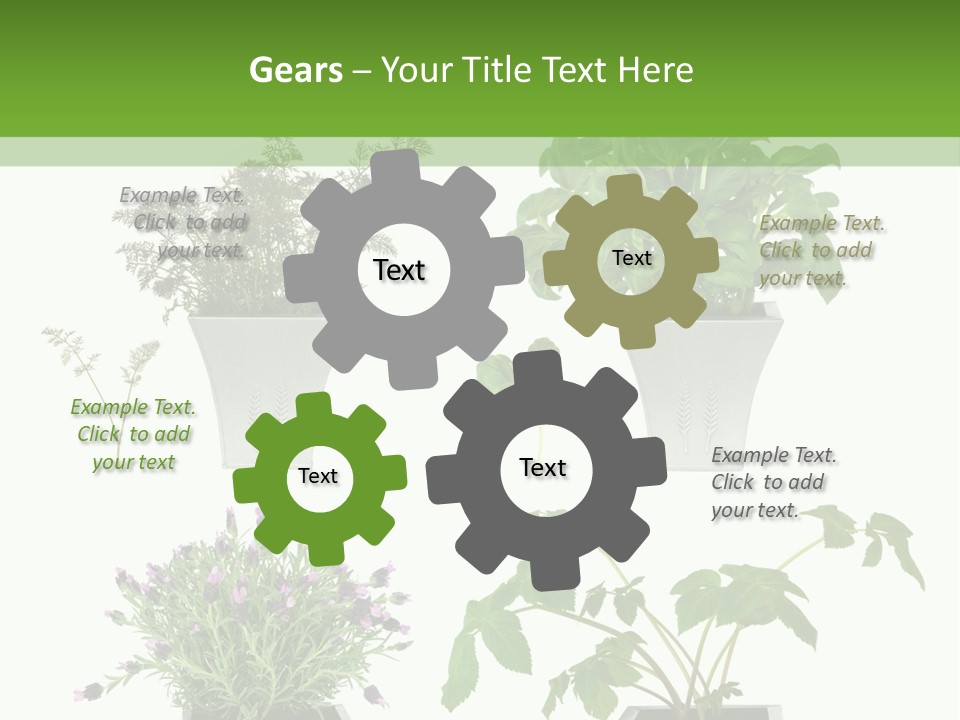 Organic Seasoning Medicinal PowerPoint Template