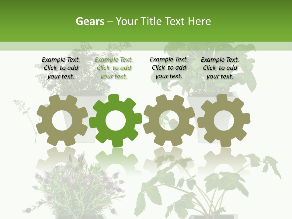 Organic Seasoning Medicinal PowerPoint Template