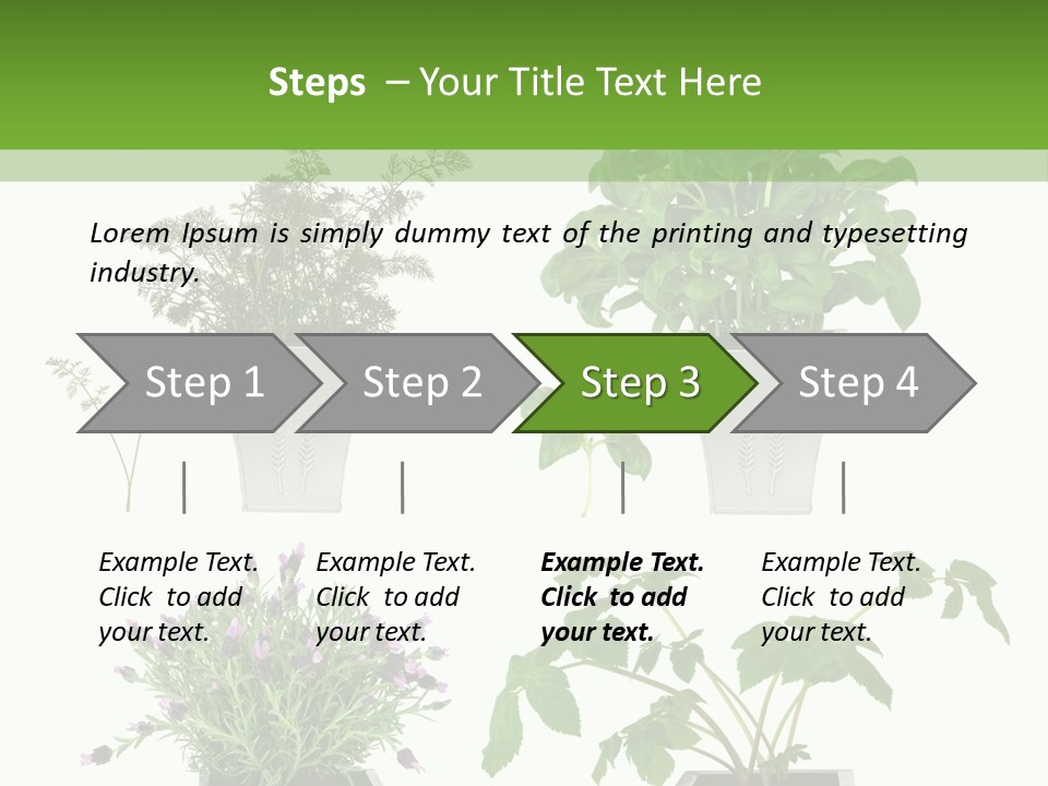 Organic Seasoning Medicinal PowerPoint Template