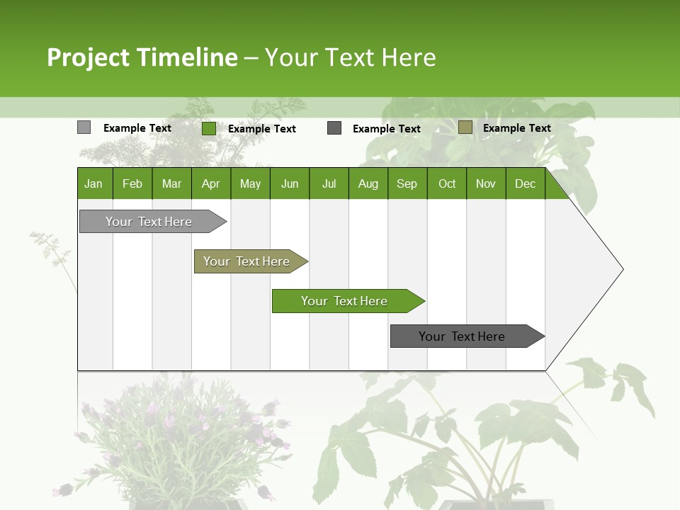 Organic Seasoning Medicinal PowerPoint Template