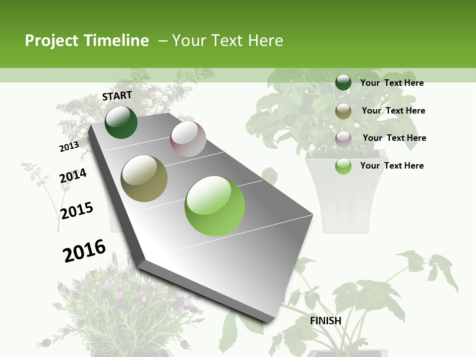 Organic Seasoning Medicinal PowerPoint Template
