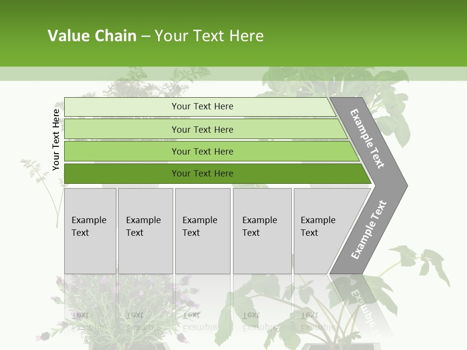 Organic Seasoning Medicinal PowerPoint Template
