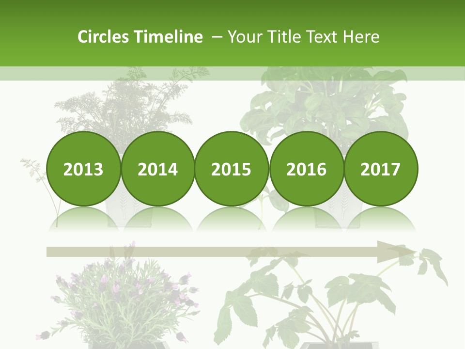 Organic Seasoning Medicinal PowerPoint Template