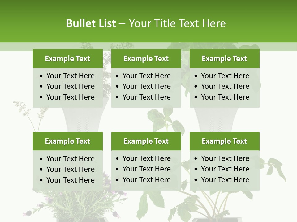 Organic Seasoning Medicinal PowerPoint Template