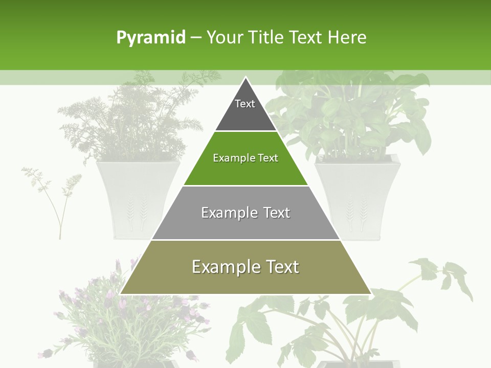 Organic Seasoning Medicinal PowerPoint Template