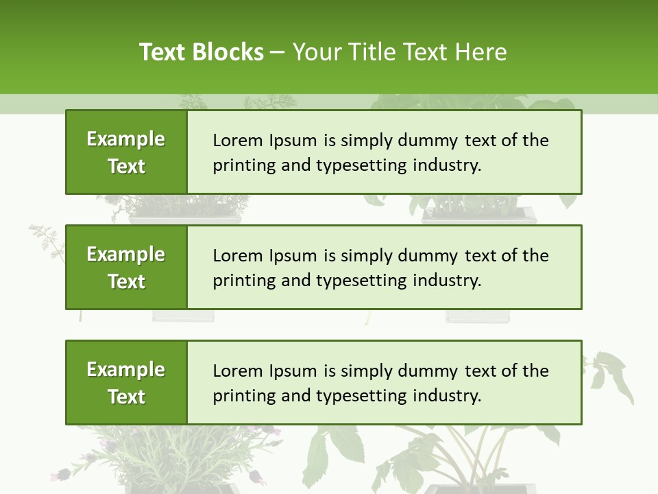 Organic Seasoning Medicinal PowerPoint Template