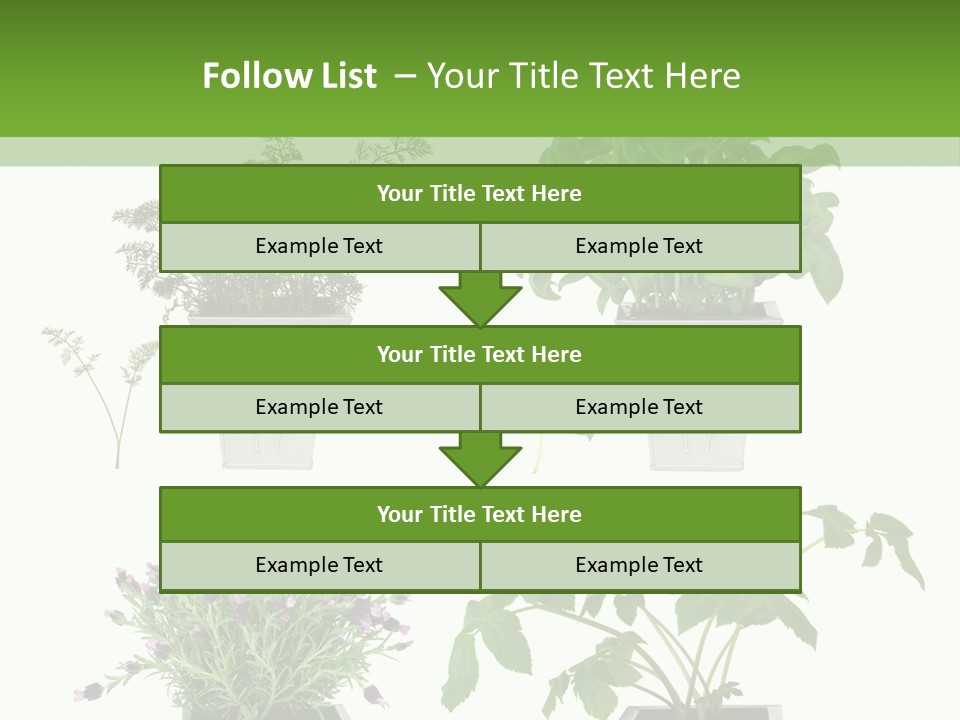 Organic Seasoning Medicinal PowerPoint Template