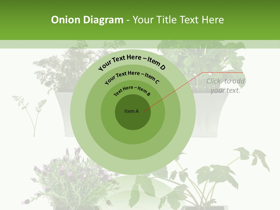 Organic Seasoning Medicinal PowerPoint Template