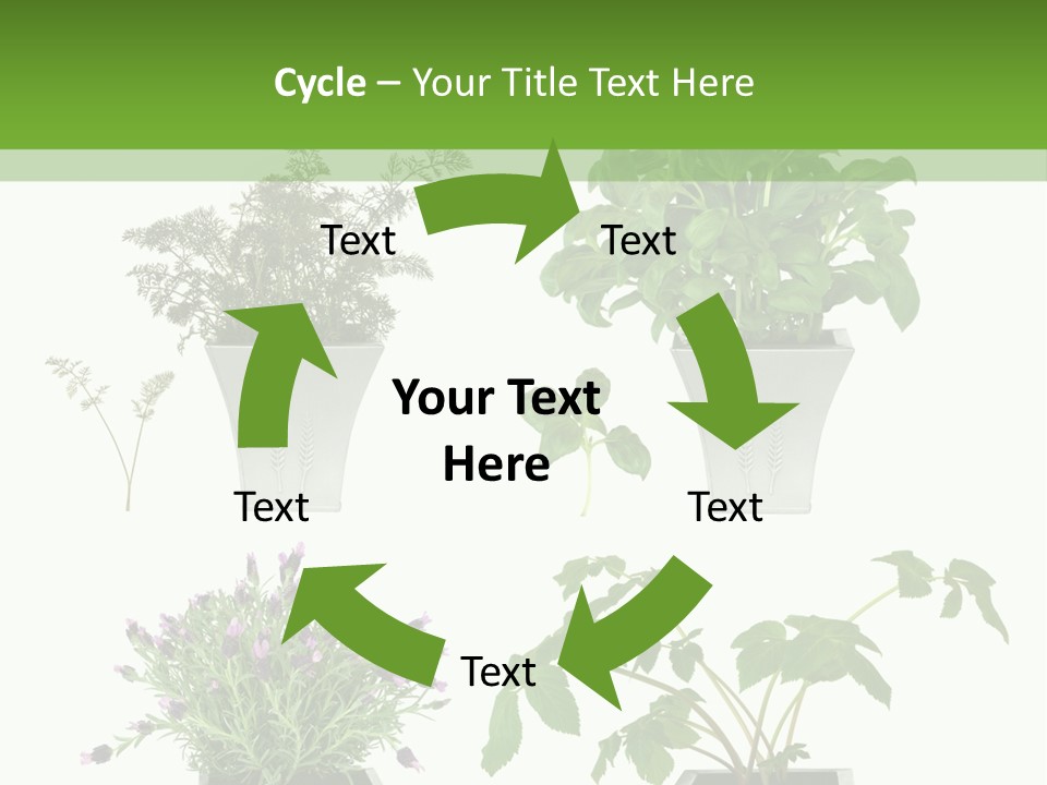 Organic Seasoning Medicinal PowerPoint Template
