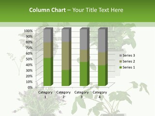 Organic Seasoning Medicinal PowerPoint Template