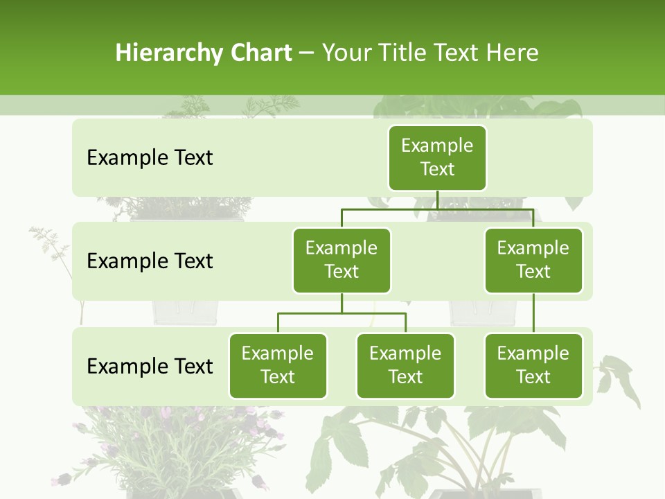 Organic Seasoning Medicinal PowerPoint Template