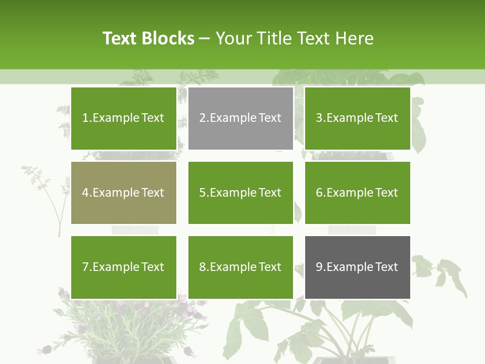 Organic Seasoning Medicinal PowerPoint Template