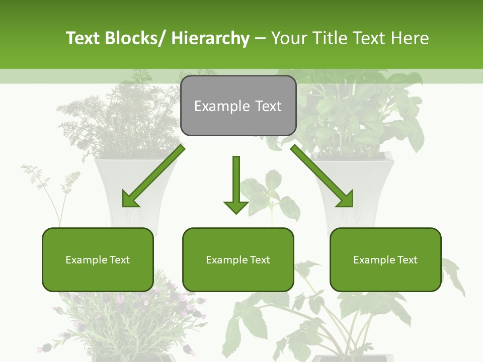 Organic Seasoning Medicinal PowerPoint Template