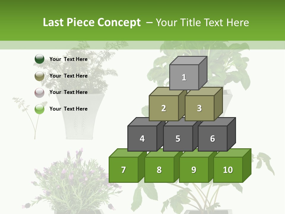 Organic Seasoning Medicinal PowerPoint Template