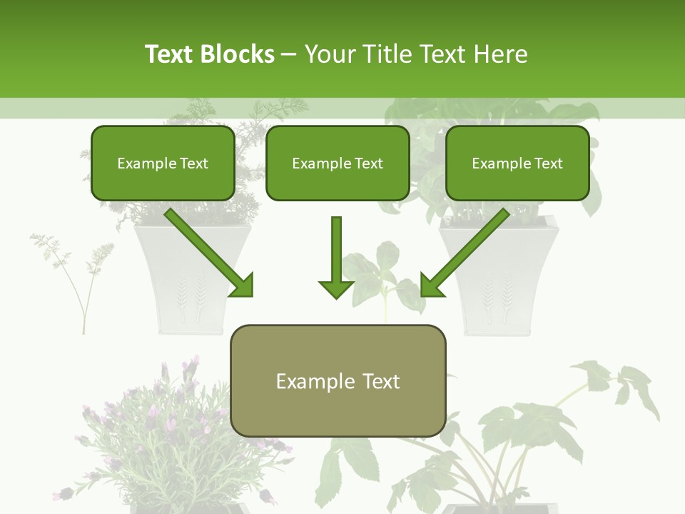 Organic Seasoning Medicinal PowerPoint Template