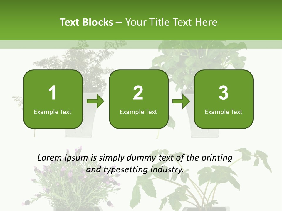 Organic Seasoning Medicinal PowerPoint Template