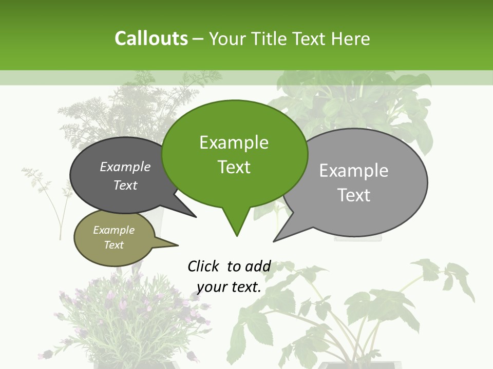 Organic Seasoning Medicinal PowerPoint Template