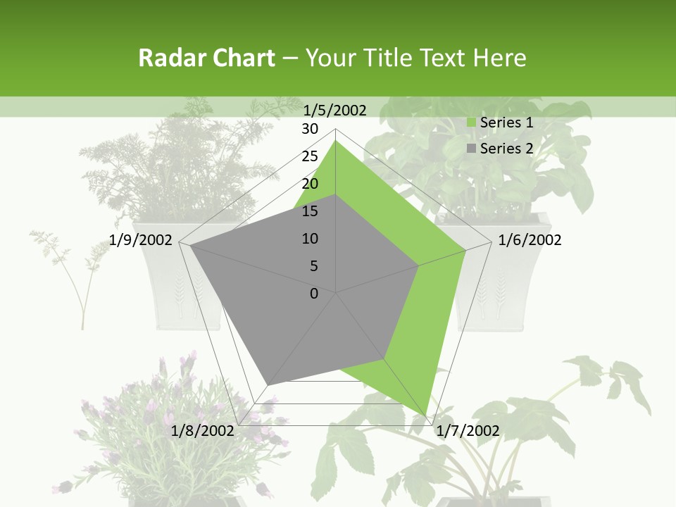 Organic Seasoning Medicinal PowerPoint Template
