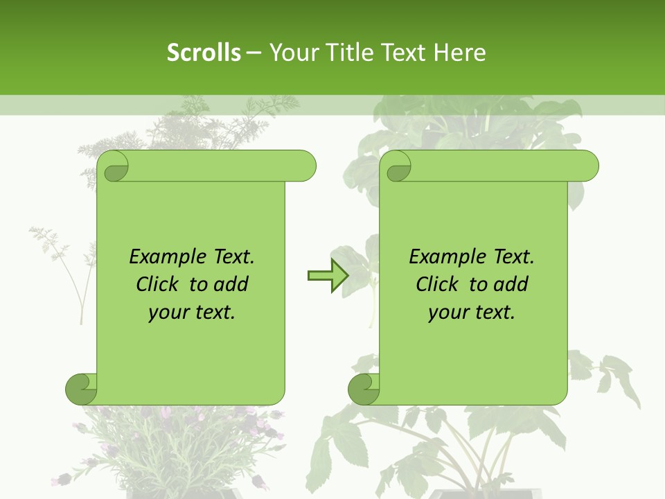 Organic Seasoning Medicinal PowerPoint Template